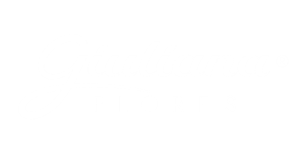 Clube da Giu